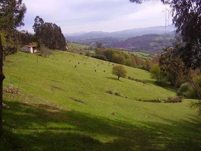 Chalet en venta en Grado, Asturias