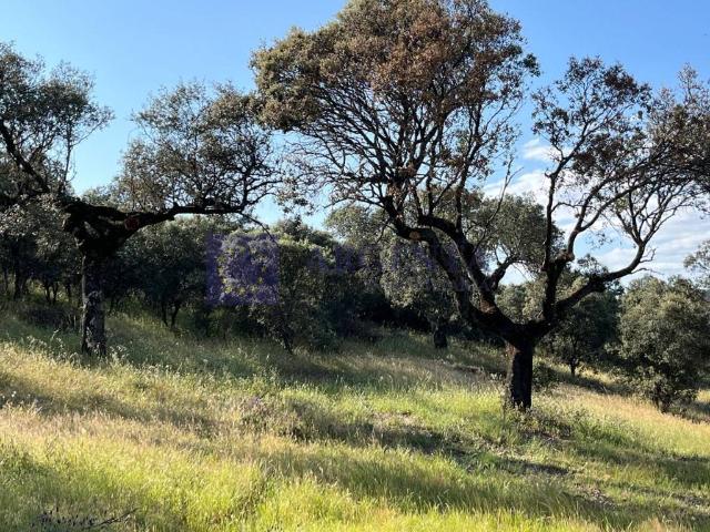 Chalet en venta en Herguijuela, Extremadura