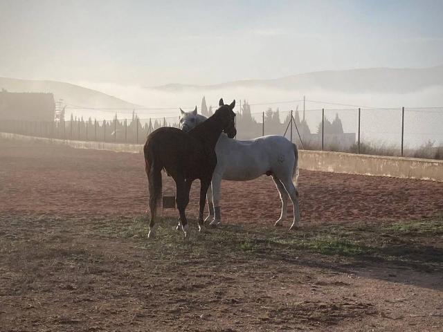 Chalet en venta en La Estacada, Altiplano