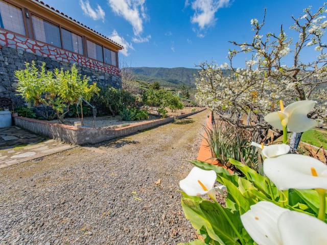 Chalet en venta en La Guancha, Canarias
