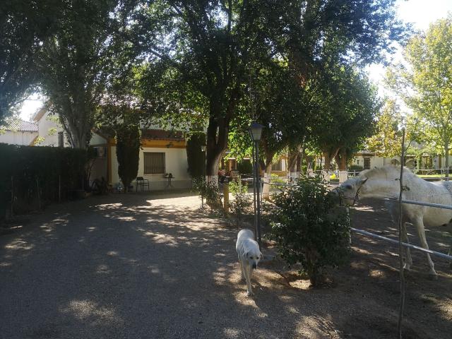 Villa en venta en Aranjuez, Casco Antiguo
