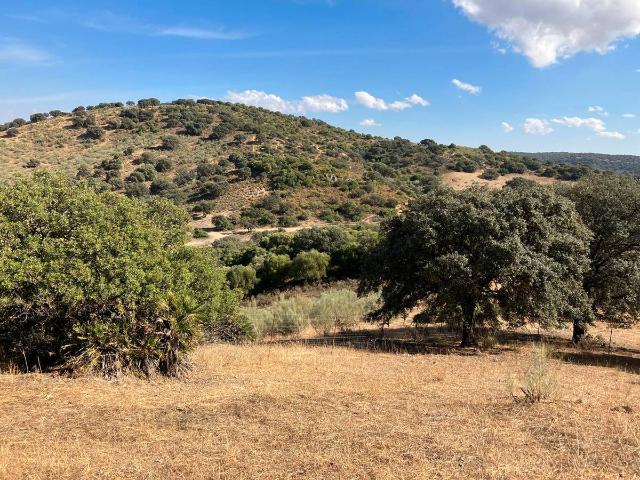 Chalet en venta en La Puebla De Cazalla, Andalucía