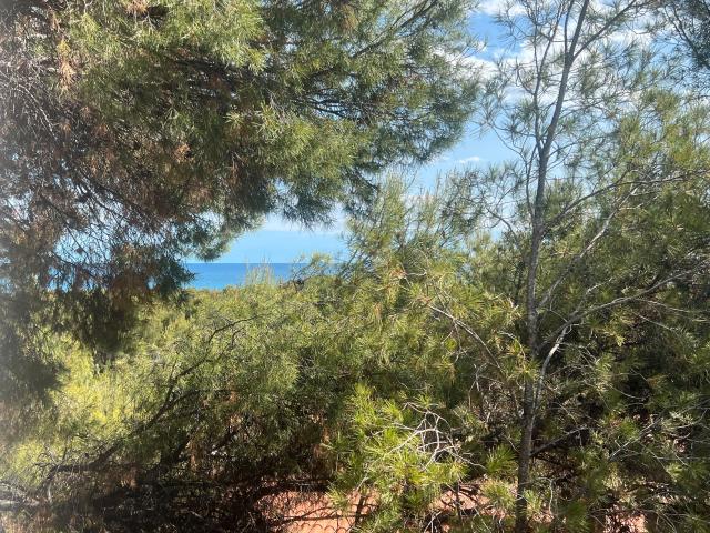 Villa en venta en Oropesa Del Mar, els Quarts