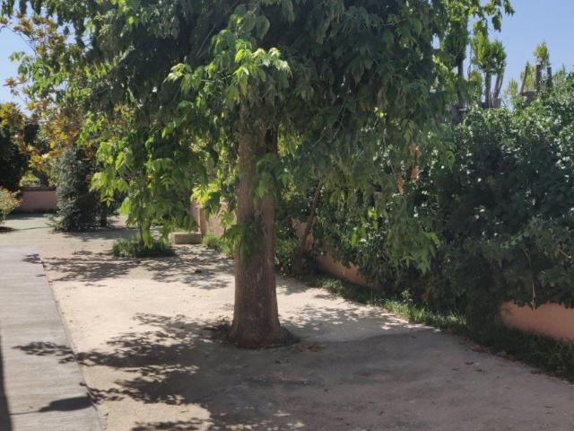 Villa en venta en La Sénia