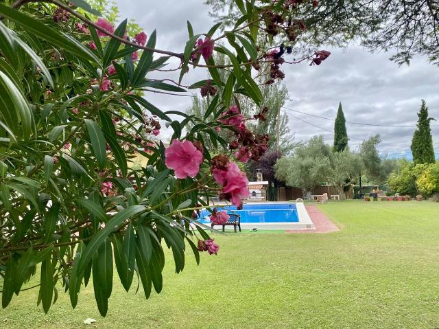 Chalet en venta en Arabako Errioxa, Guipúzcoa