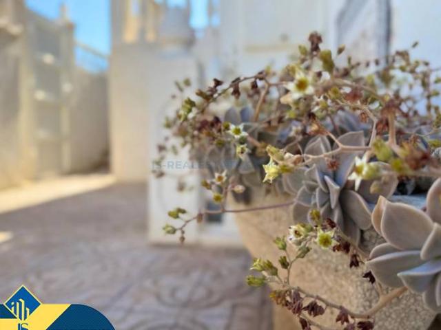 Chalet en venta en el Baix Segura / La Vega Baja, Valencia