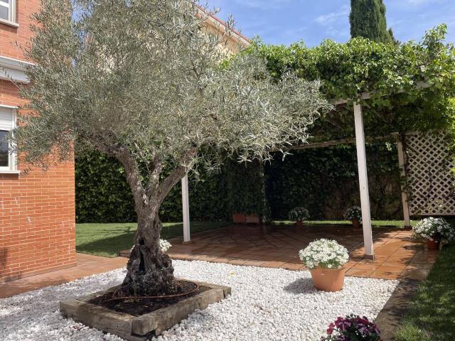 Chalet en venta en Venturada, Madrid