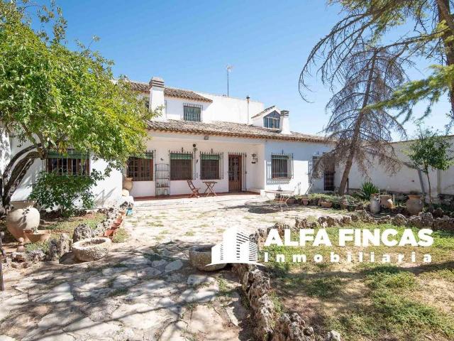 Chalet en venta en Los Hinojosos, Castilla-La Mancha