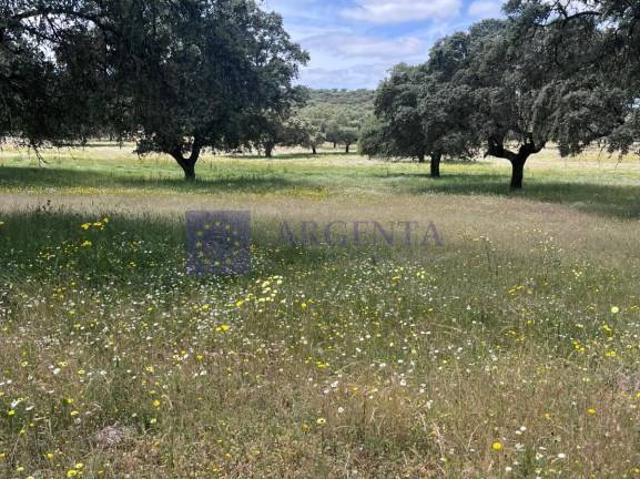 Chalet en venta en Madroñera, Extremadura