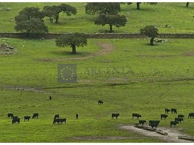 Chalet en venta en Malpartida De Plasencia, Extremadura