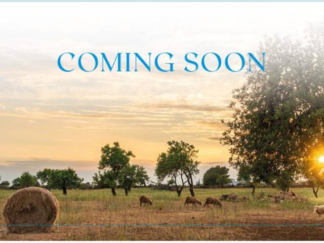 Chalet en venta en Pla de Mallorca, Baleares