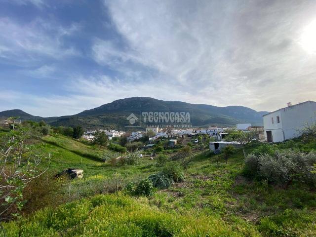 Chalet en venta en Martos, Jaén