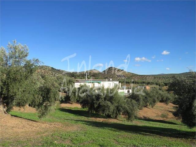 Chalet en venta en Martos, Andalucía