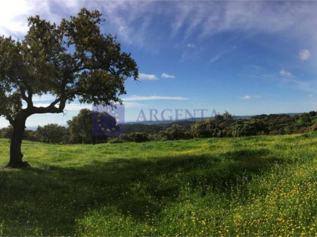 Chalet en venta en Membrío, Extremadura