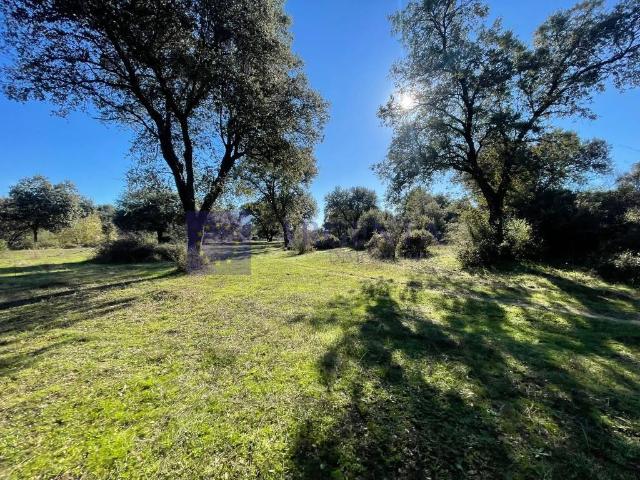 Chalet en venta en Miajadas, Extremadura