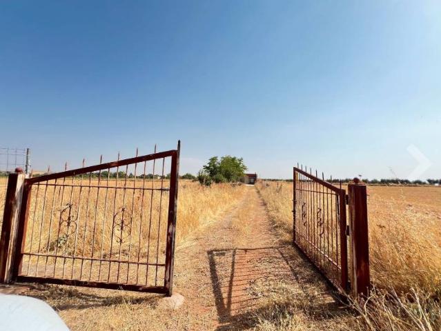 Chalet en venta en Miguelturra, Castilla-La Mancha