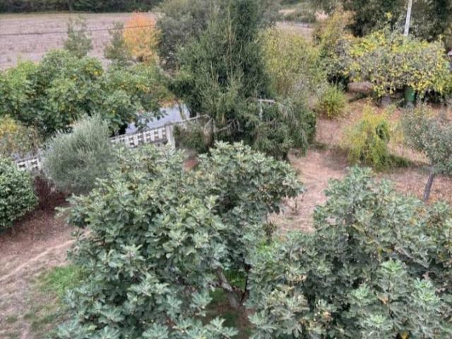 Chalet en venta en Monforte de Lemos, Terra de Lemos