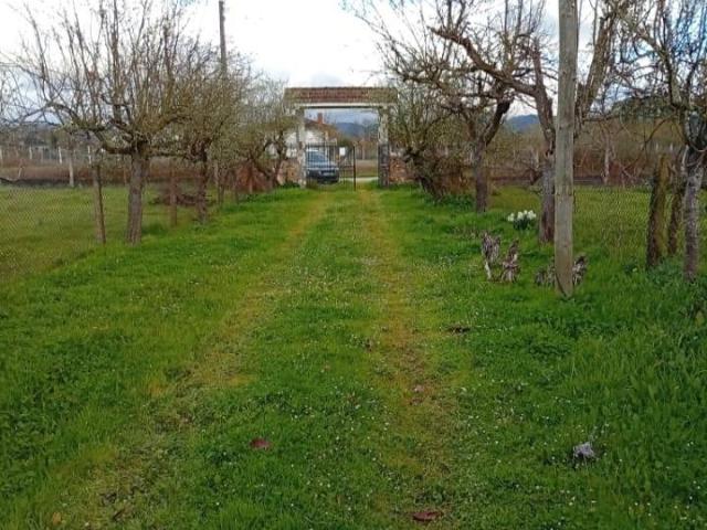 Chalet en venta en Monforte de Lemos, Terra de Lemos