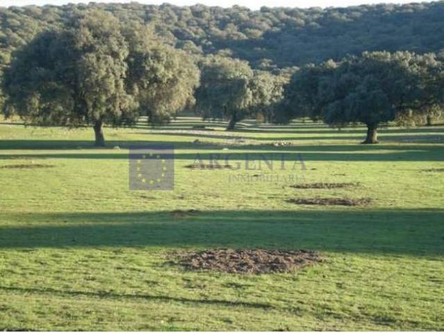 Chalet en venta en Monroy, Extremadura