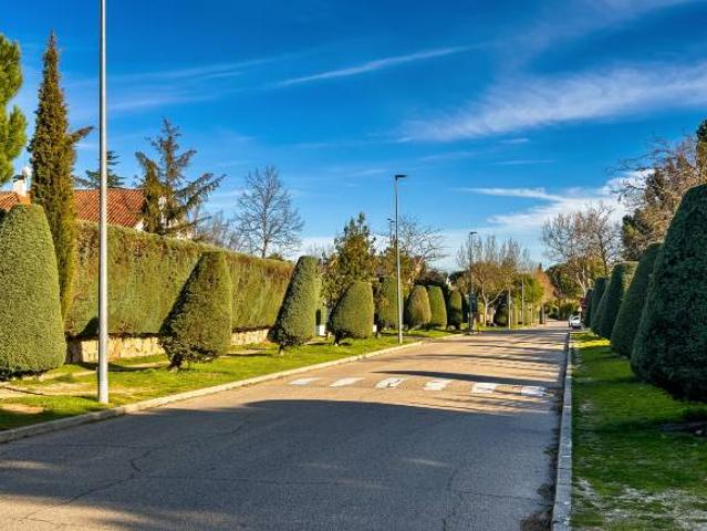 Chalet en venta en Rozas De Puerto Real, Madrid