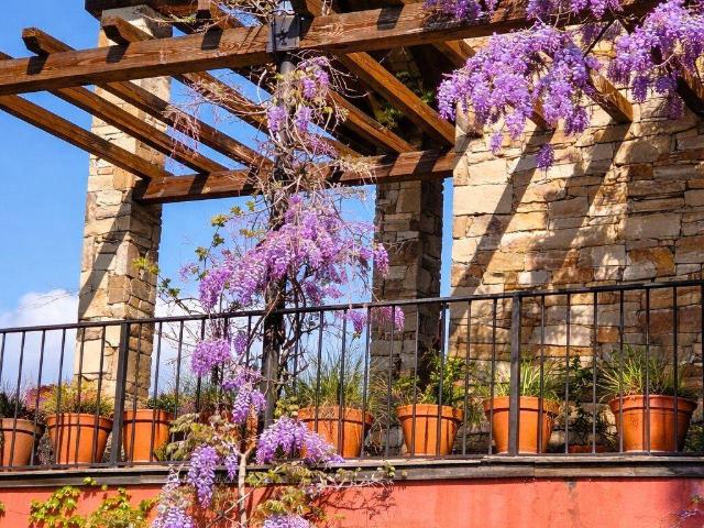 Chalet en venta en Sexmo de Lozoya, Navalafuente