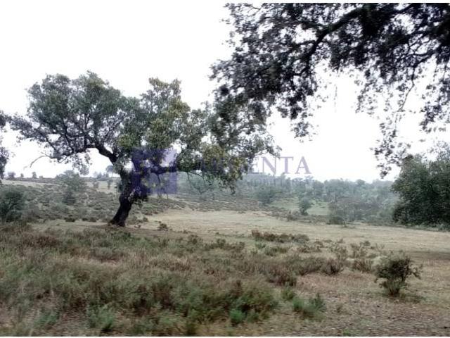 Chalet en venta en Navalmoral De La Mata, Extremadura