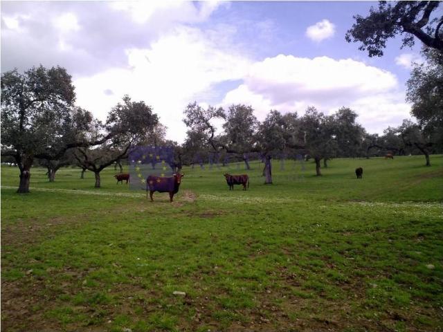 Chalet en venta en Navalmoral De La Mata, Extremadura