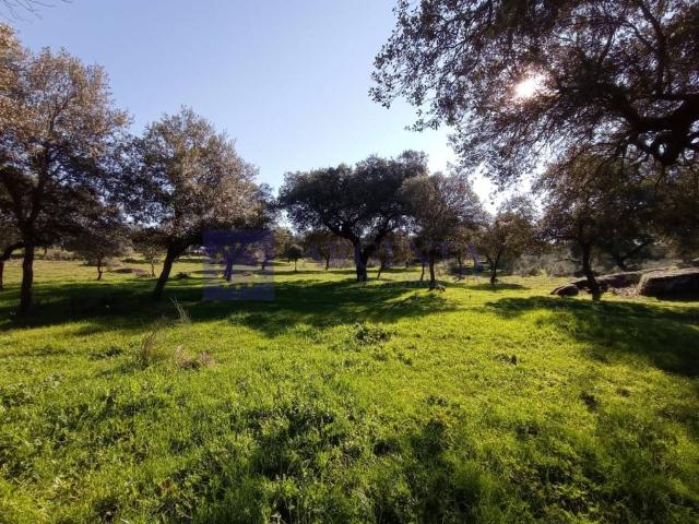 Chalet en venta en Navalmoral De La Mata, Extremadura