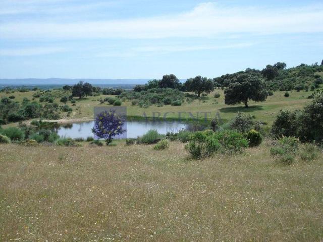 Chalet en venta en Navalmoral De La Mata, Extremadura
