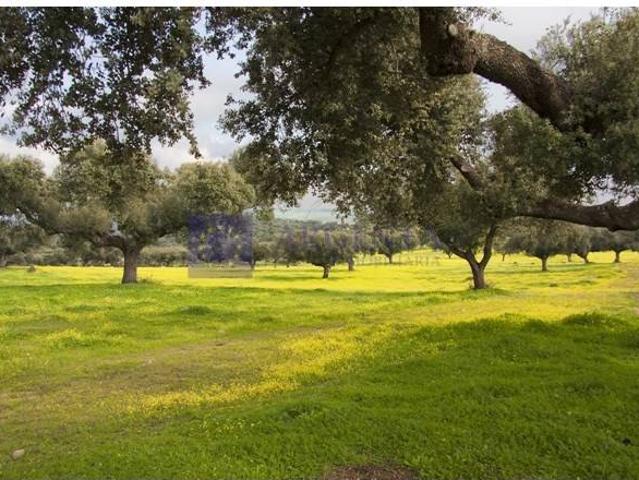 Chalet en venta en Navalmoral De La Mata, Extremadura
