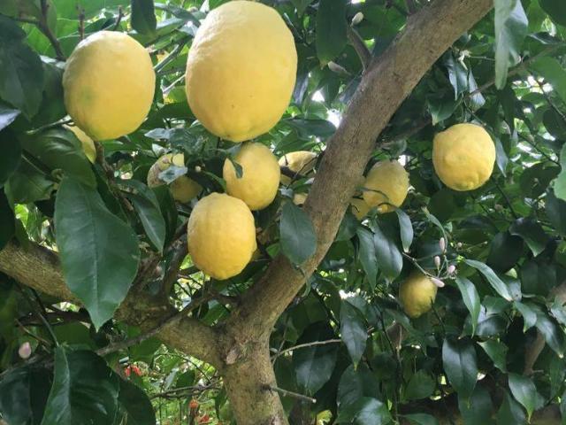 Chalet en venta en Navia, Asturias