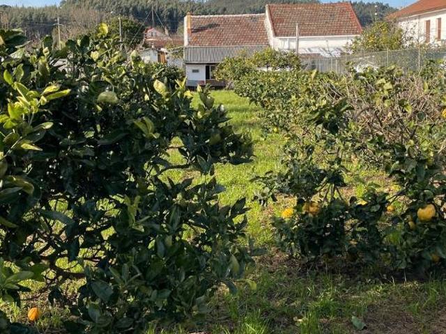 Chalet en venta en Castro, Ferrol