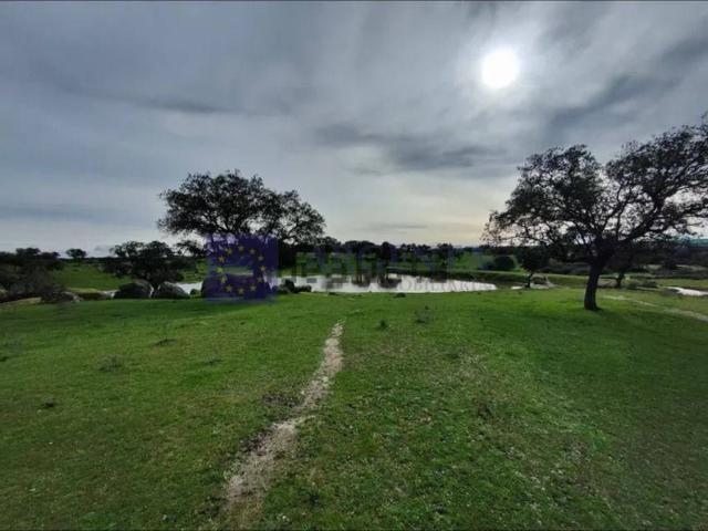 Chalet en venta en Mérida