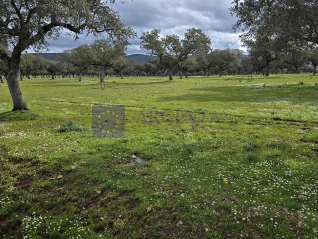 Chalet en venta en Mérida