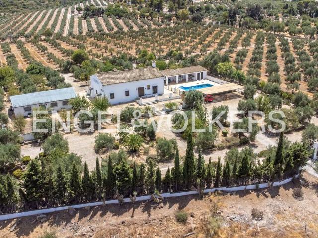 Chalet en venta en Osuna, Andalucía