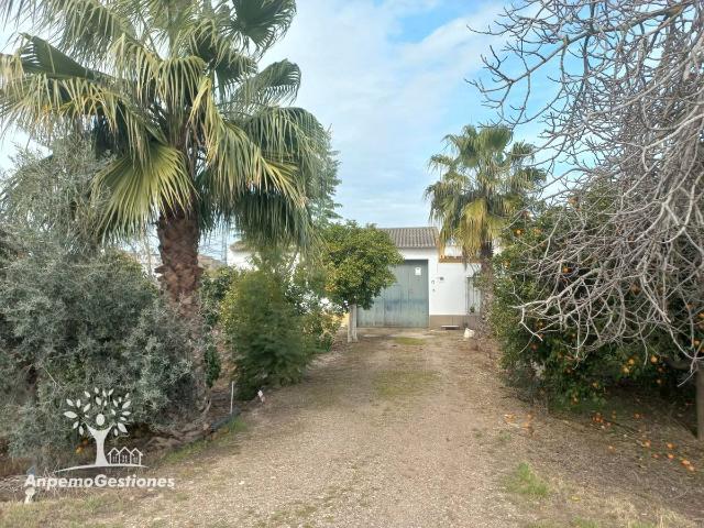 Chalet en venta en Palma Del Río, Andalucía