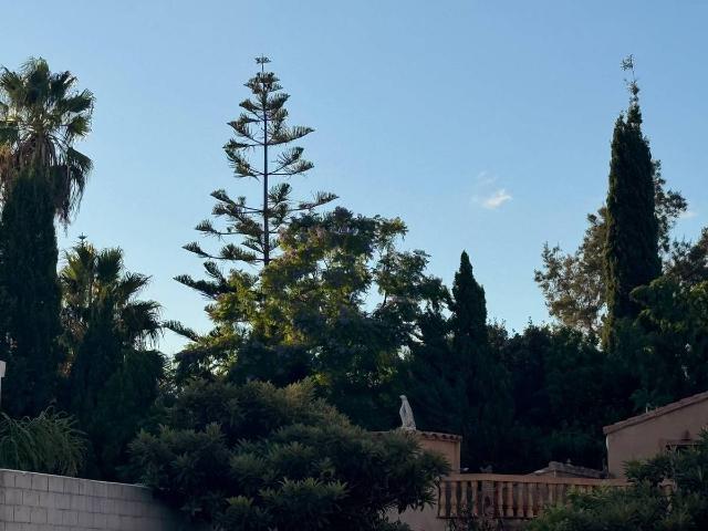 Chalet en venta en la Safor, Valencia