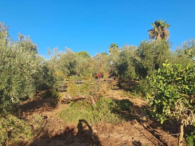 Chalet en venta en Utrera, Andalucía