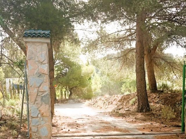 Chalet en venta en el Vinalopó Mitjà / El Vinalopó Medio, Valencia