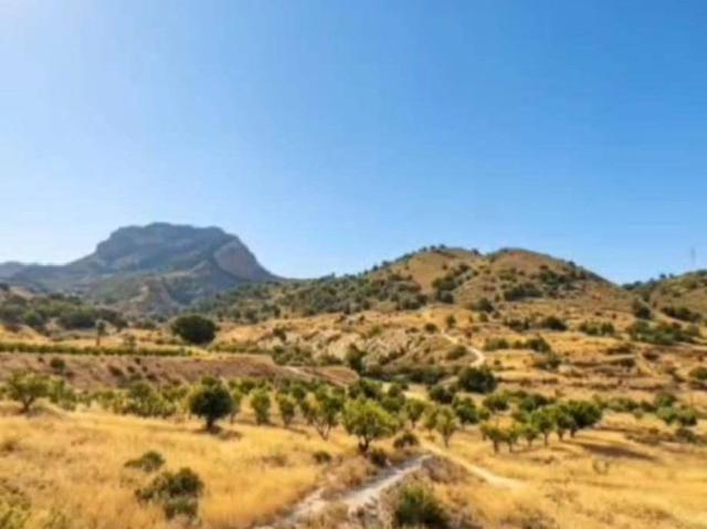 Chalet en venta en el Vinalopó Mitjà / El Vinalopó Medio, Valencia