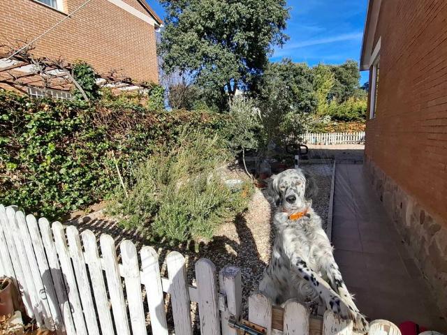 Chalet en venta en Madrebuena, Pioz