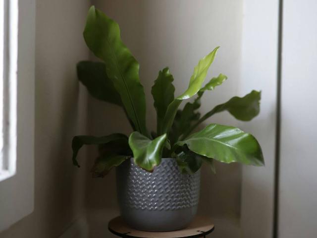 Chalet en venta en Alboraya, Valencia