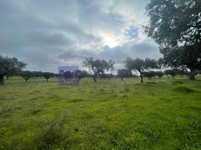 Chalet en venta en Portaje, Extremadura