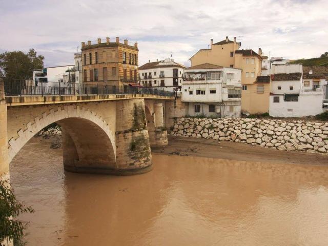 Chalet en venta en Barrio de la Isla, Puente Genil