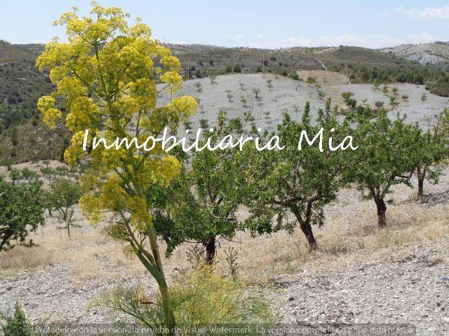 Chalet en venta en Alto Guadalentín, Murcia