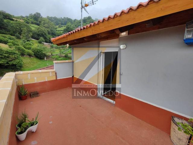 Chalet en venta en Cuesta Argayáu, Riosa