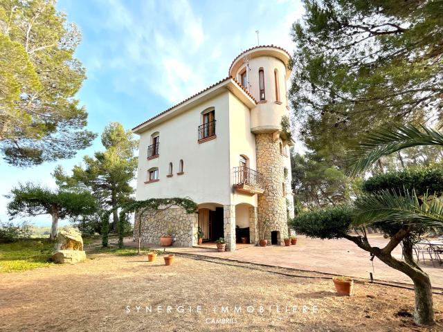 Villa en venta en Riudecanyes