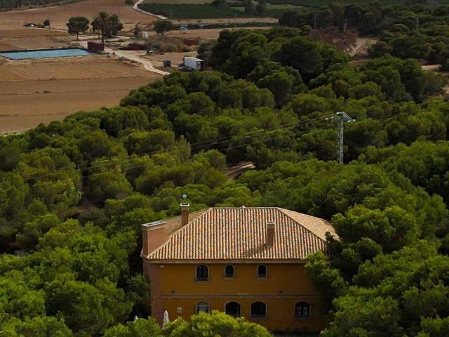 Chalet en venta en el Baix Segura / La Vega Baja, Valencia