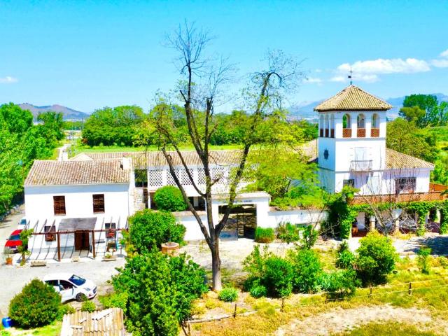 Chalet en venta en Comarca de la Vega de Granada, Andalucía