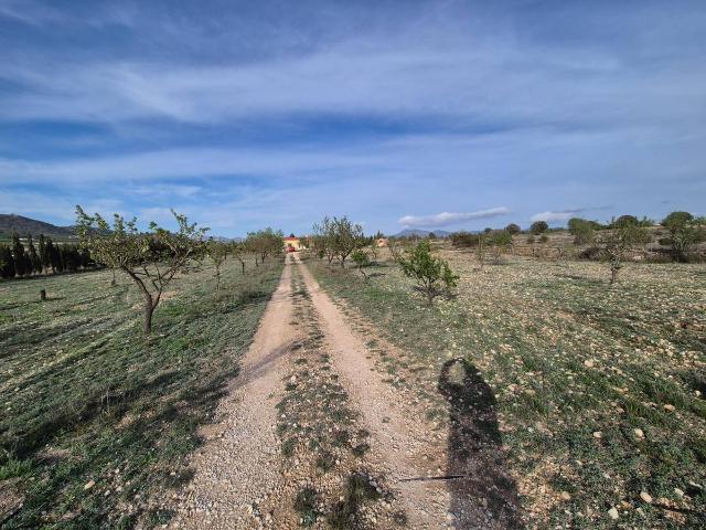 Chalet en venta en Cecilia Bartolomé (Mujeres Libres), l'Alt Vinalopó / El Alto Vinalopó